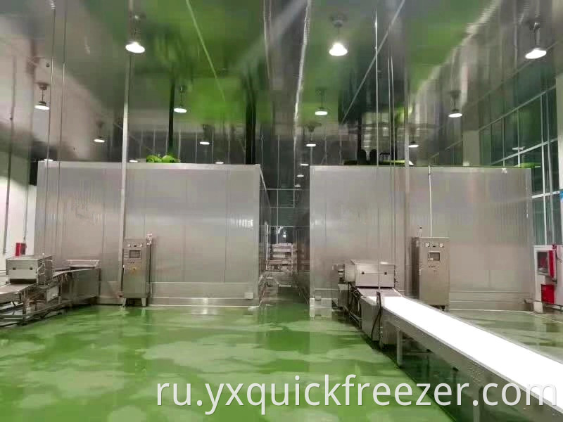 Double Drum Freezing Machine